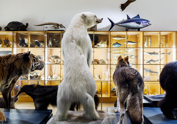 Prikkelarm bezoek Het Natuurhistorisch Museum Rotterdam