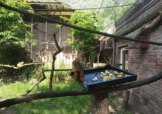 Uit met Autisme Awards Uitreiking Tierpark Nordhorn