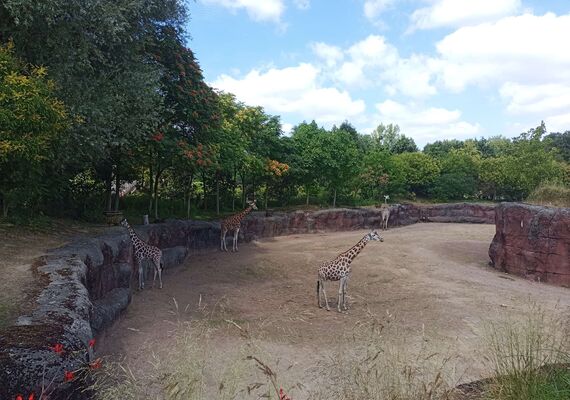 Prikkelarme dierentuindag bij GaiaZOO Kerkrade