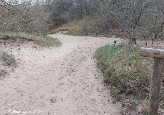 25-04 NS-wandeling Meijendel (Den Haag > Wassenaar, 13 km)