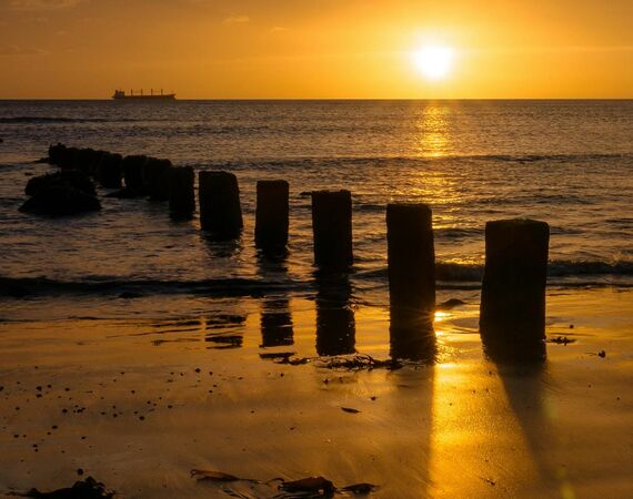 Hoe vind je meer rust en balans?