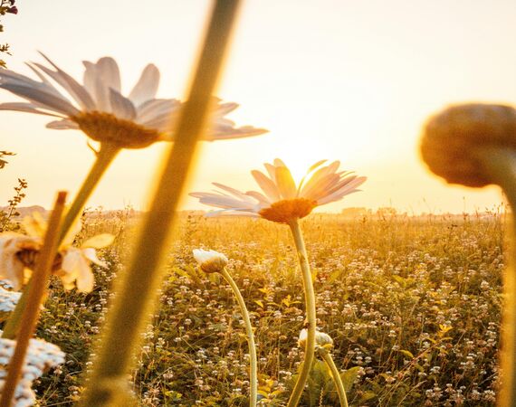 Fijne wandelgebieden in Nederland deel 2