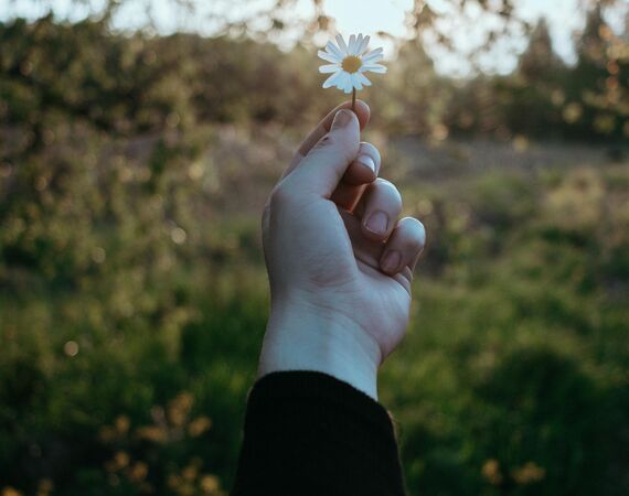 Manifesteren of plannen?