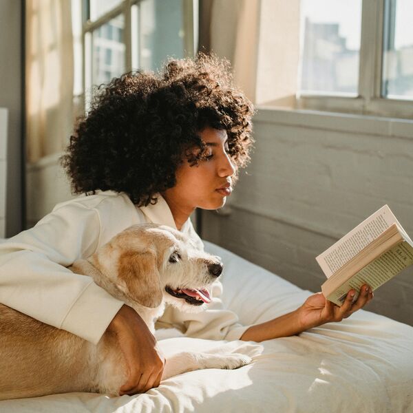 2024: Romans om bij weg te zwijmelen