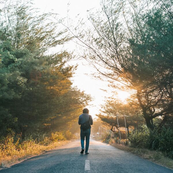 Ontdek de mooiste wandelgebieden van Nederland