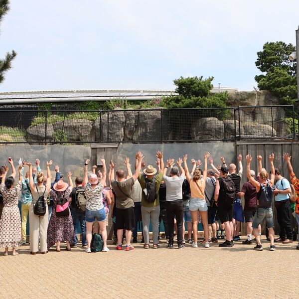 Durfjijmetmij.nl neemt leden mee naar Dierentuin