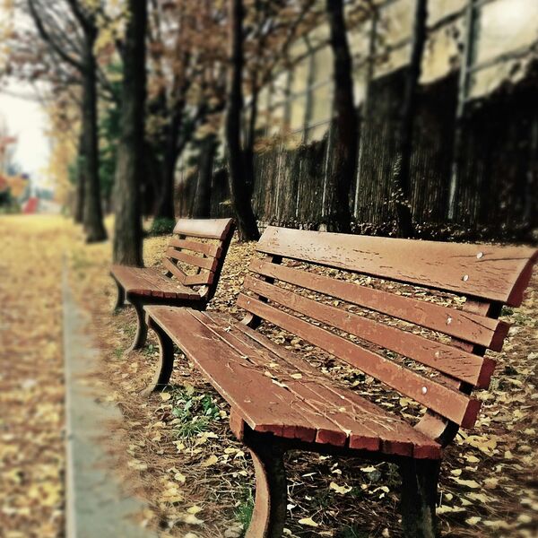 Waarom stilte goed is voor je brein