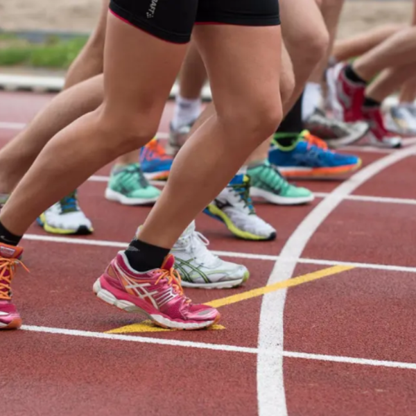 29-3 Reakt-Brijderloop